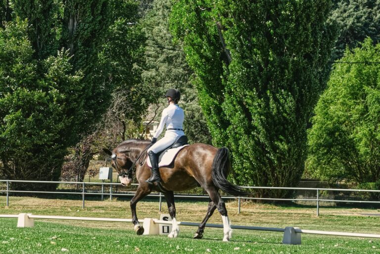 A skilled equestrian riding a horse through a verdant park during a bright day.