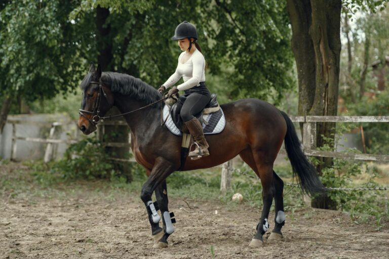 A young woman in riding gear enjoys equestrian activities outdoors on a trained horse.